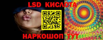 спайс Кингисепп