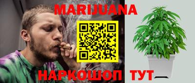 спайс Кингисепп