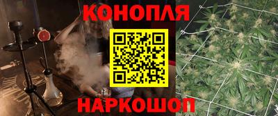 спайс Кингисепп