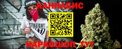 спайс Кингисепп