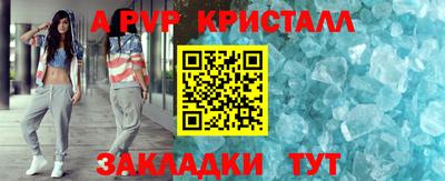 спайс Кингисепп